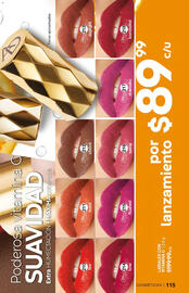 Catálogo Fuller Página 115