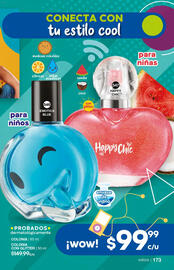 Catálogo Fuller Página 173