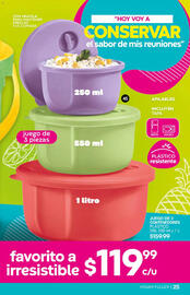 Catálogo Fuller Página 25