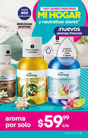 Catálogo Fuller Página 3