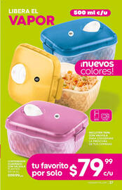 Catálogo Fuller Página 37