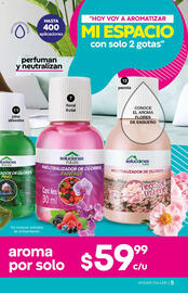 Catálogo Fuller Página 5