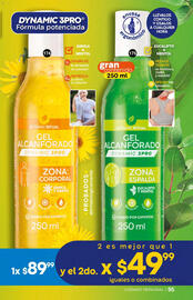 Catálogo Fuller Página 95