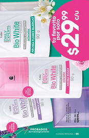 Catálogo Fuller Página 99