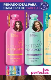 Catálogo Fuller Página 100