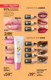 Catálogo Fuller Página 136