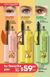 Catálogo Fuller Página 138