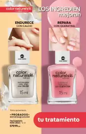 Catálogo Fuller Página 140