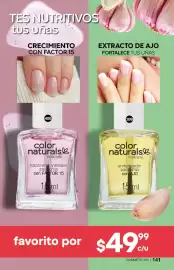 Catálogo Fuller Página 141