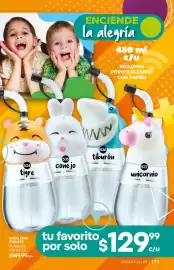 Catálogo Fuller Página 171