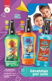 Catálogo Fuller Página 174