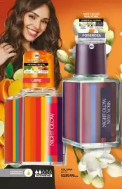 Catálogo Fuller Página 178