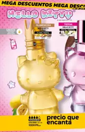 Catálogo Fuller Página 204