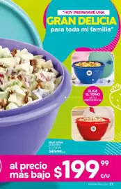 Catálogo Fuller Página 21