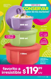 Catálogo Fuller Página 25