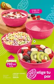 Catálogo Fuller Página 26