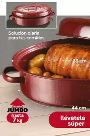 Catálogo Fuller Página 42