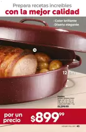 Catálogo Fuller Página 43