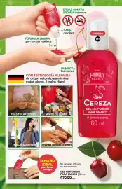 Catálogo Fuller Página 66