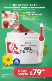 Catálogo Fuller Página 93