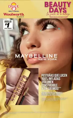 Folleto DelSol (válido hasta 28-01)