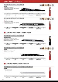 Volantino Einhell Pagina 100