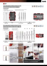 Volantino Einhell Pagina 11