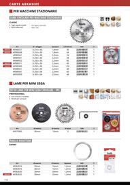 Volantino Einhell Pagina 112