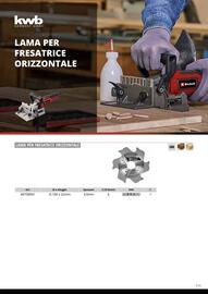 Volantino Einhell Pagina 113