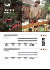 Volantino Einhell Pagina 115