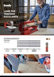 Volantino Einhell Pagina 116