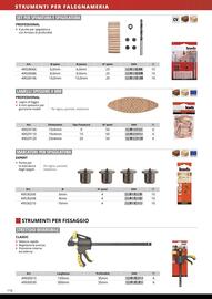 Volantino Einhell Pagina 118