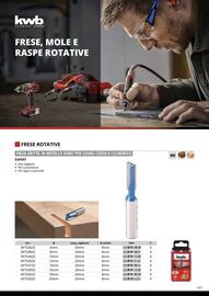 Volantino Einhell Pagina 149