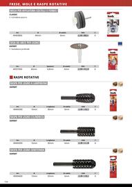 Volantino Einhell Pagina 156