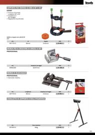 Volantino Einhell Pagina 167