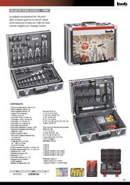 Volantino Einhell Pagina 171