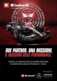 Volantino Einhell Pagina 196