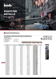 Volantino Einhell Pagina 25