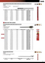 Volantino Einhell Pagina 37