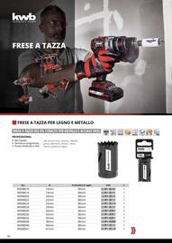 Volantino Einhell Pagina 42