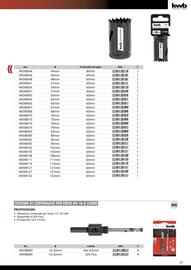 Volantino Einhell Pagina 43