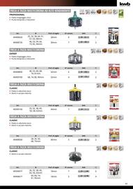 Volantino Einhell Pagina 45