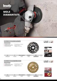 Volantino Einhell Pagina 80