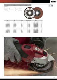 Volantino Einhell Pagina 89