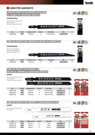 Volantino Einhell Pagina 91