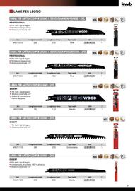 Volantino Einhell Pagina 99