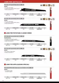 Volantino Einhell Pagina 100