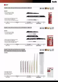 Volantino Einhell Pagina 101