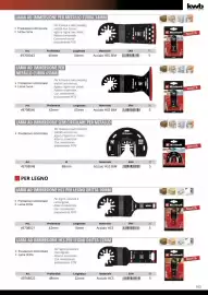 Volantino Einhell Pagina 105
