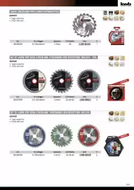 Volantino Einhell Pagina 111